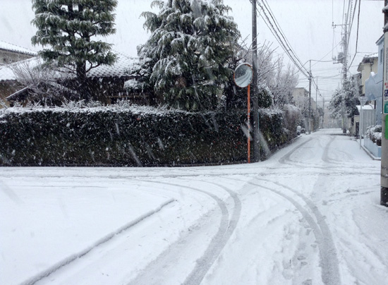 snow-road-for-bicycle.jpg
